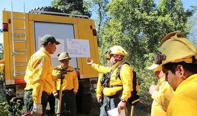  Trabaja sector ambiental en acciones preventivas para hacer frente a la temporada de incendios forestales