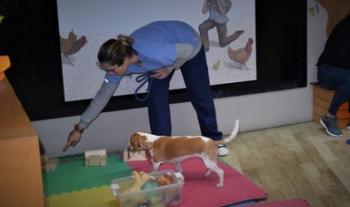 Ofrecerá el CECUT nuevo taller para mascotas
