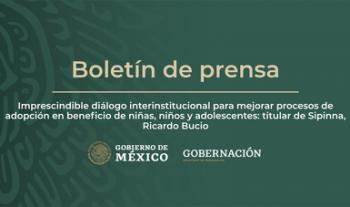 Imprescindible diálogo interinstitucional para mejorar la adopción de niñas, niños y adolescentes: titular de Sipinna, Ricardo Bucio