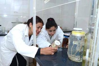 Lograr ciencia de calidad requiere la presencia de mujeres: académicas de la UNAM