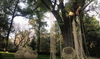 Llega el vigor cultural de Aguascalientes al Complejo Cultural Los Pinos