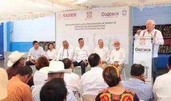 La puesta en marcha de planta procesadora de mango en el Istmo es estratégica y parte del impulso de productos con potencial exportable: VVA