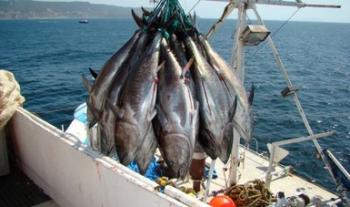 Aviso de revocación de restricciones de importación para ciertos pescados y productos pesqueros