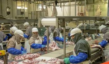 La producción de carne de res en México mantiene un crecimiento anual sostenible del 2.5 %: Agricultura