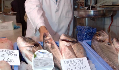 Llama Agricultura a consumir pescados y mariscos frescos de producción nacional durante Cuaresma 2020