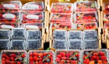 Creció casi 20 % superávit de la balanza agroalimentaria de México con el mundo en enero 2020