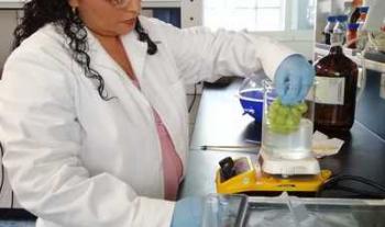 Desarrolla Colpos recubrimientos y películas biodegradables para el manejo postcosecha de productos hortofrutícolas