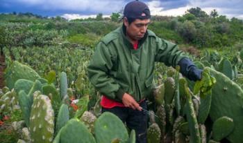Desarrolla Conaza proyectos productivos integrales en beneficio de pobladores de zonas áridas y semiáridas