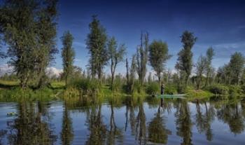 Busca Semarnat recuperar las chinampas como sistemas de producción de alimentos sanos