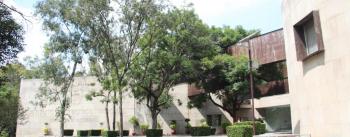 Ante COVID-19 IPN brinda orientación sobre cuidados en embarazo, puerperio y lactancia