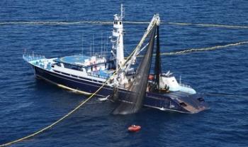 Establecen tres mil 268 toneladas como cuota de captura de atún aleta azul a embarcaciones mexicanas en el océano Pacífico