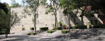 Médicos internos de pregrado del IPN se incorporarán de forma voluntaria a las instituciones de salud