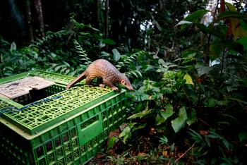 Enfermedades como COVID-19, resultado de la invasión de ecosistemas