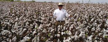 Desarrolla IPN biofungicida que elimina hongos patógenos en cultivos de maíz, sorgo y algodón