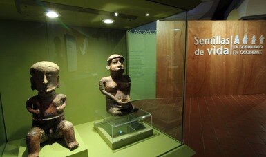 Semillas de vida… abrirá virtualmente en el Museo Regional de Historia de Colima