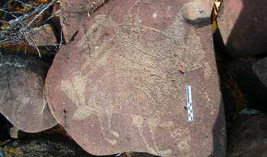 Avanza INAH en el registro del arte rupestre de la Sierra de la Giganta, en BCS