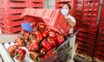 Refuerzan medidas internacionales de prevención por COVID-19 en el sector agroalimentario