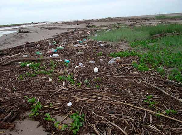 Residuos de COVID-19 podrían sumarse a la contaminación de los océanos