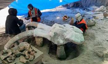 INAH comenzará estudio multidisciplinario de yacimientos de mamuts en Santa Lucía y Tultepec II, Estado de México