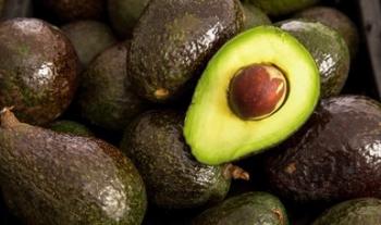 Impulsa Agricultura producción de alimentos orgánicos