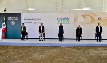 Presenta Secretaría de Bienestar avances de Sembrando Vida en Veracruz