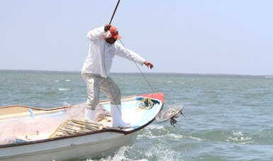 Activación de pesca de jaiba contribuirá a que los pescadores cuenten con recursos durante el periodo de contingencia: Conapesca