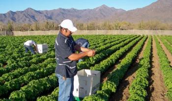 Cambios en Lineamientos de Producción Orgánica fortalecerán el comercio internacional