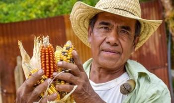 Coinciden investigadores en hacer frente a la desertificación y sequía con agricultura de conservación
