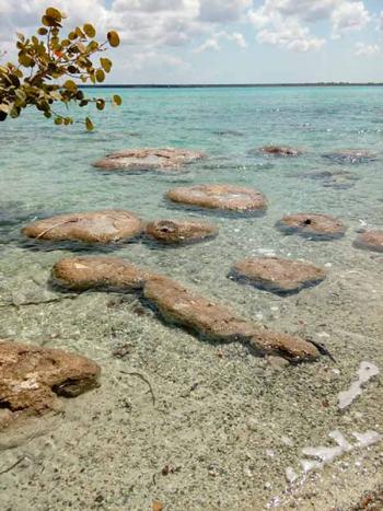 Alertan sobre daños en la Laguna de Bacalar