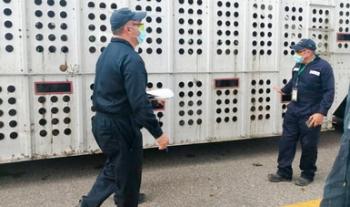 Inspecciona Agricultura cerca de 500 mil cargamentos agropecuarios para disminuir riesgo de dispersión de plagas
