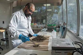 Analizan universitarios fertilidad del suelo a partir de materia orgánica