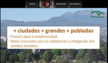 Los árboles urbanos pueden ayudar a un desarrollo sostenible con el apoyo de una política adecuada