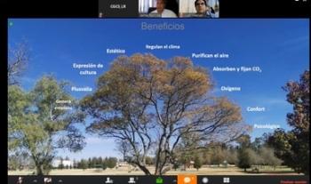 El cuidado de los bosques urbanos requiere una cultura y una política consciente de su potencial ecológico