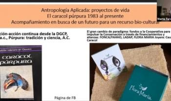 Marta Turok comparte cómo aprovecha las herramientas tecnológicas para investigar durante el confinamiento