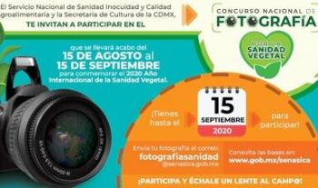 Convoca Agricultura al Concurso Nacional de Fotografía “Por la Sanidad Vegetal”