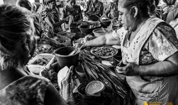 Se anuncian 21 proyectos ganadores de la primera Convocatoria del Fondo Iberoamericano de Cocinas para el Desarrollo Sostenible