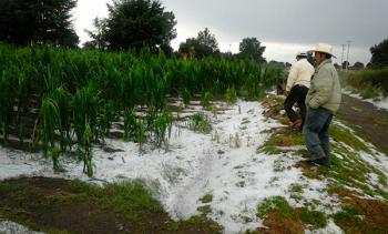 Aún sin evidencia científica, agricultores insisten en usar cañones antigranizo