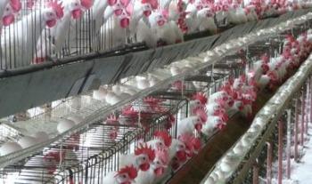 Adoptan países de América del Norte medidas para incrementar la protección en la producción pecuaria de la región