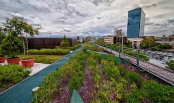 Medio Ambiente y Sedatu trabajan de la mano en la construcción de ciudades sustentables