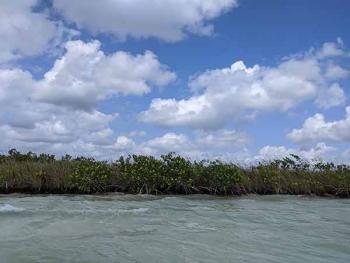 Pugnan por desarrollo sustentable de la Península de Yucatán