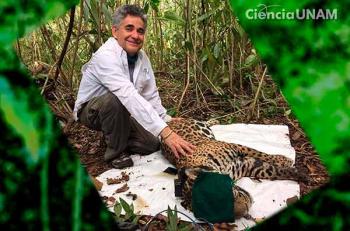 Aún es posible frenar la extinción de especies