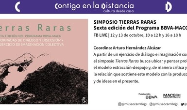 Tierras Raras, simposio virtual entre conocedores y artistas en el Museo de Arte Carrillo Gil