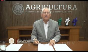 En esfuerzo conjunto, productores, cadenas agroalimentarias y gobierno garantizan el abasto de alimentos en el país: Agricultura