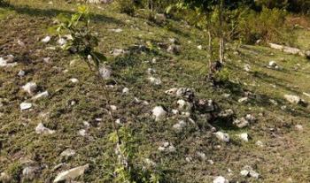 Con el empleo de tecnología LiDAR y prospección en campo, se registran áreas con monumentos arqueológicos en Candelaria, Campeche