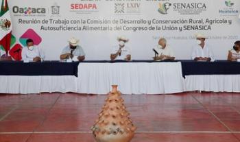 Desarrolla Agricultura acciones sanitarias y de inocuidad que posibilitarán a productores de pequeña escala comercializar en más mercados