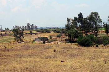 Reconocen a investigadores por sus aportaciones al sector agroalimentario