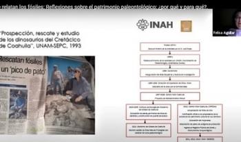Recapitulan descubrimiento del ‘antiguo pato de Tichiqueo’ o ‘dinosaurio michoacano’