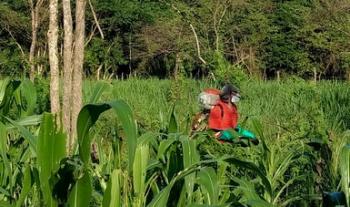 Acuerdan México, Estados Unidos y Canadá fortalecer trabajo conjunto para regular uso de plaguicidas agrícolas