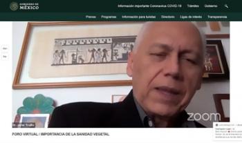 Sanidad vegetal, pilar de la economía nacional que es necesario proteger