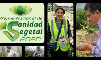 Elige jurado calificador a ganadores del Premio Nacional de Sanidad Vegetal 2020